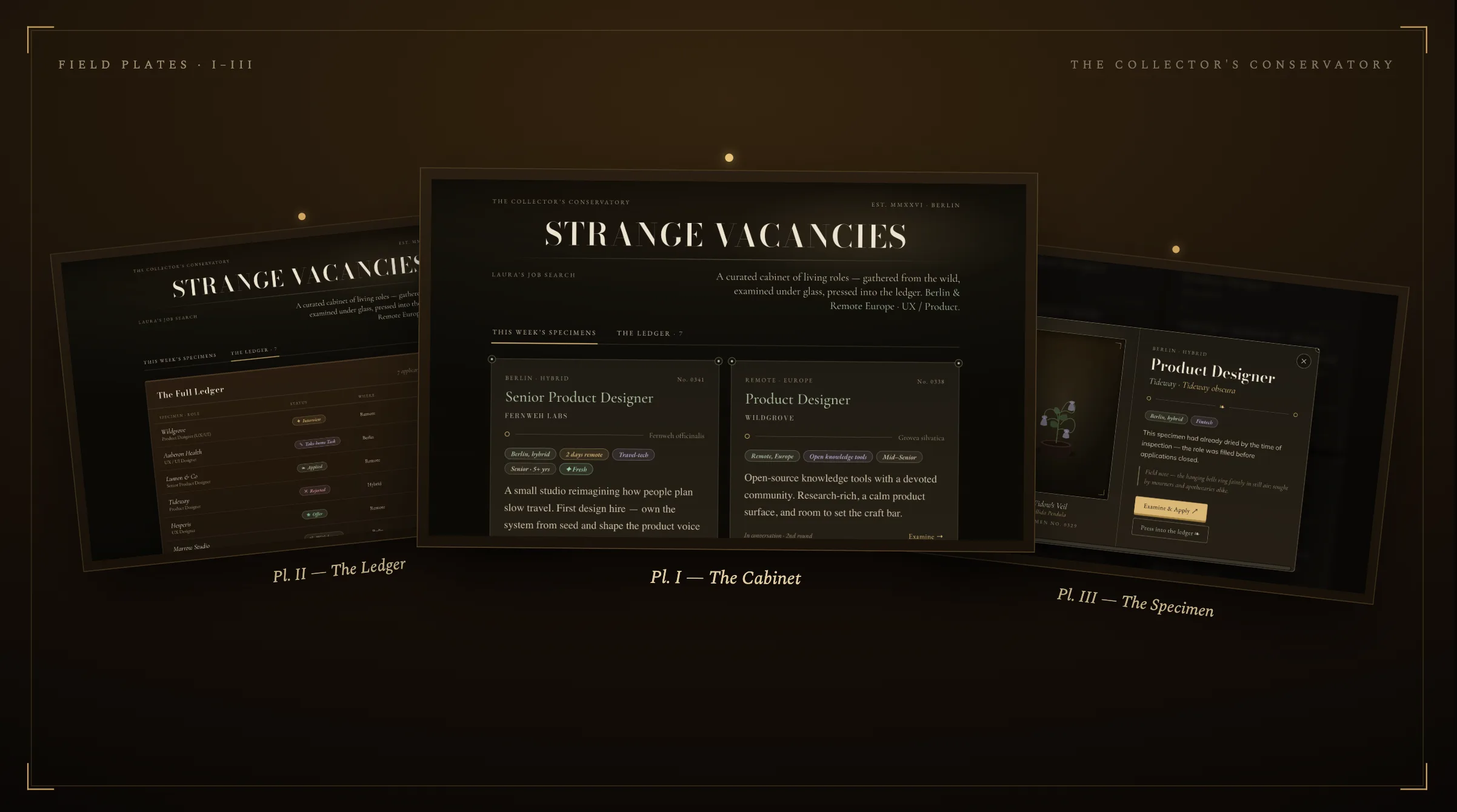 The Strange Vacancies cabinet, ledger and specimen views